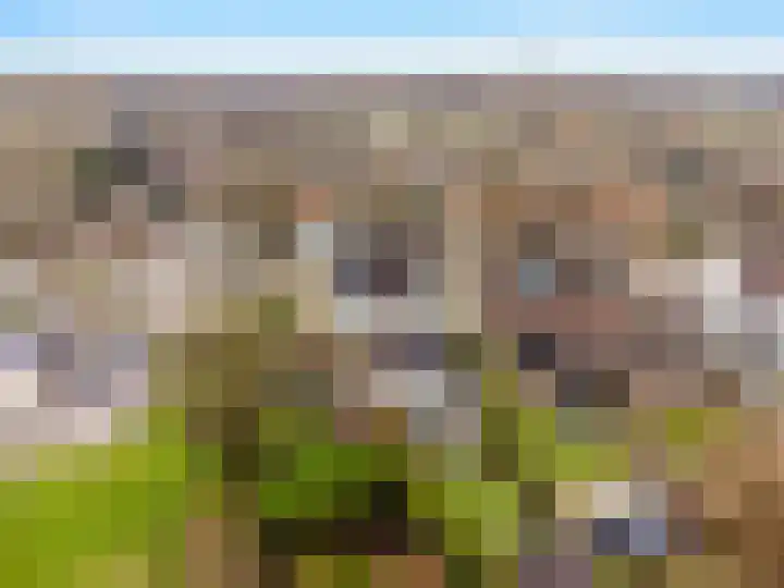 Heerlenerweg 22 Sittard thumbnail 25