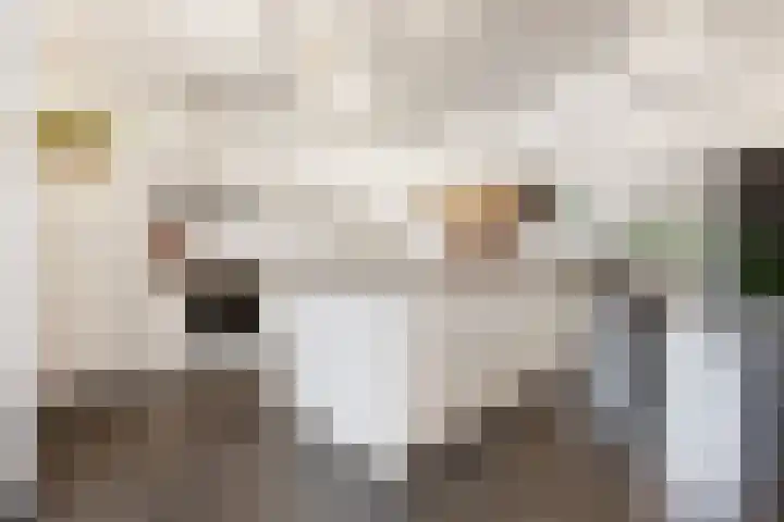 Heerlenerweg 22 Sittard thumbnail 6