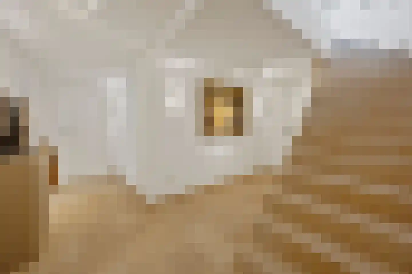Heerlenerweg 26 Sittard thumbnail 14