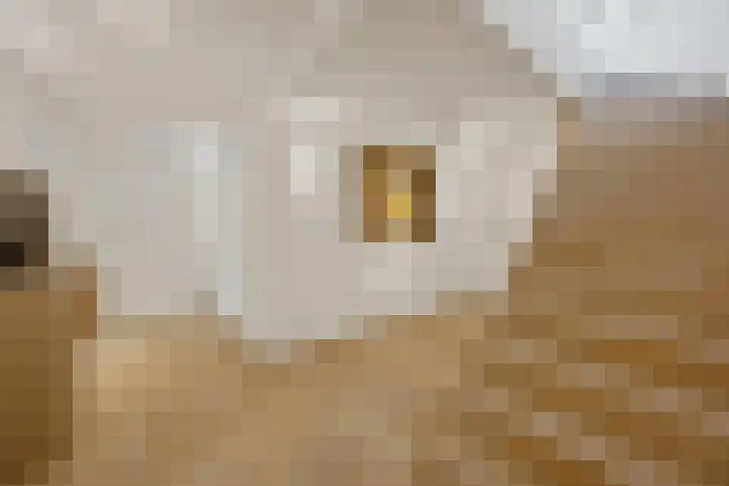 Heerlenerweg 26 Sittard thumbnail 17