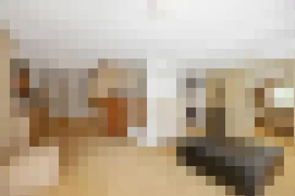 Heerlenerweg 26 Sittard thumbnail 23