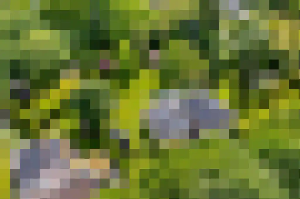 Heerlenerweg 26 Sittard thumbnail 35