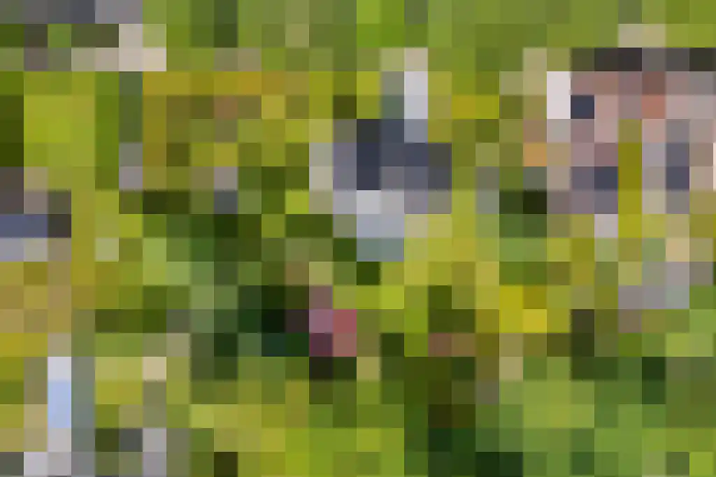 Heerlenerweg 26 Sittard thumbnail 36