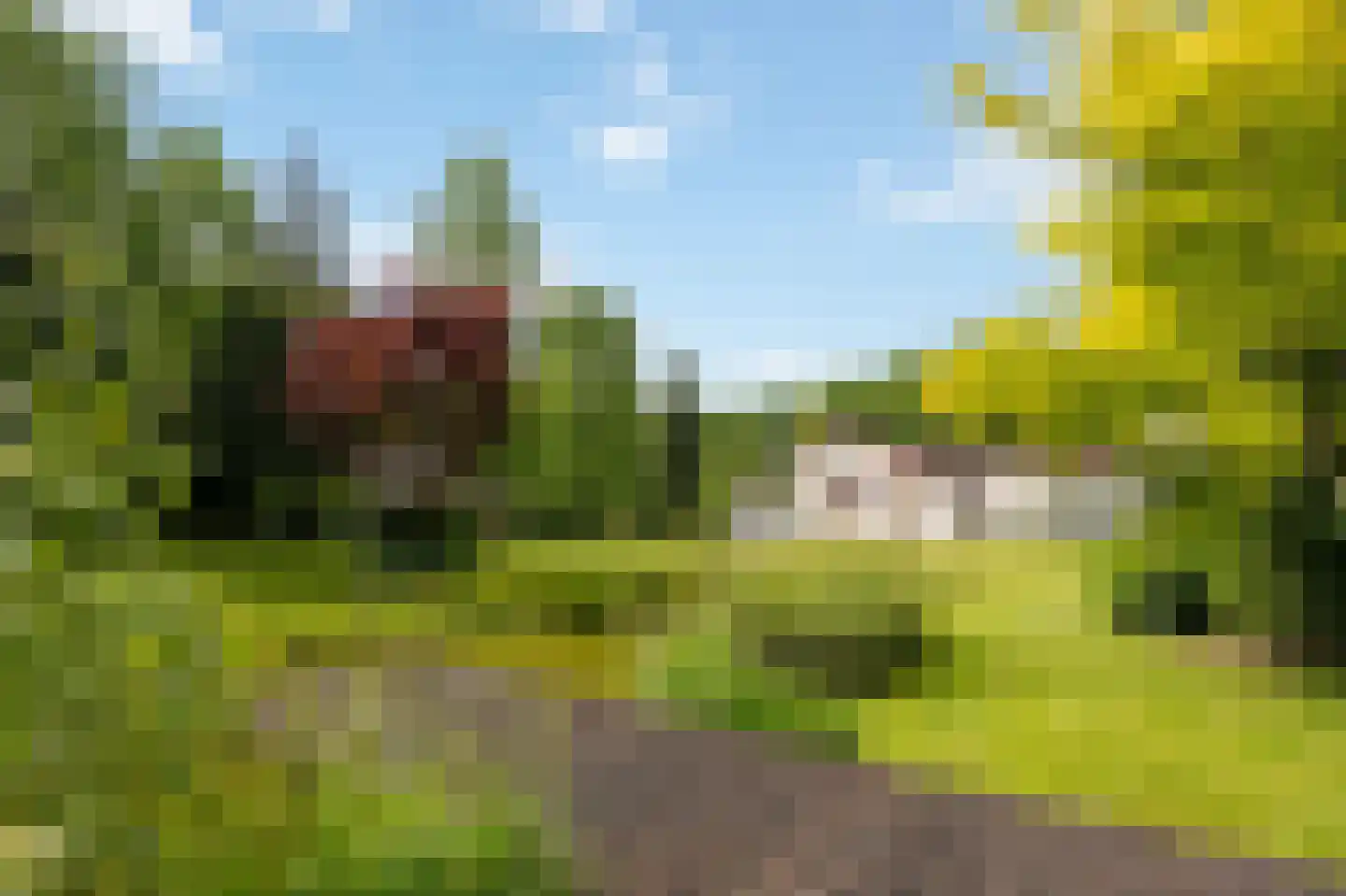 Heerlenerweg 26 Sittard thumbnail 38