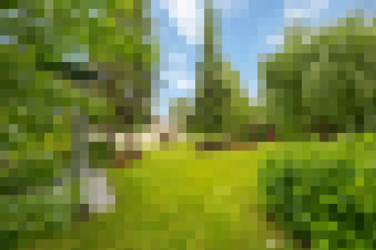 Heerlenerweg 26 Sittard thumbnail 41