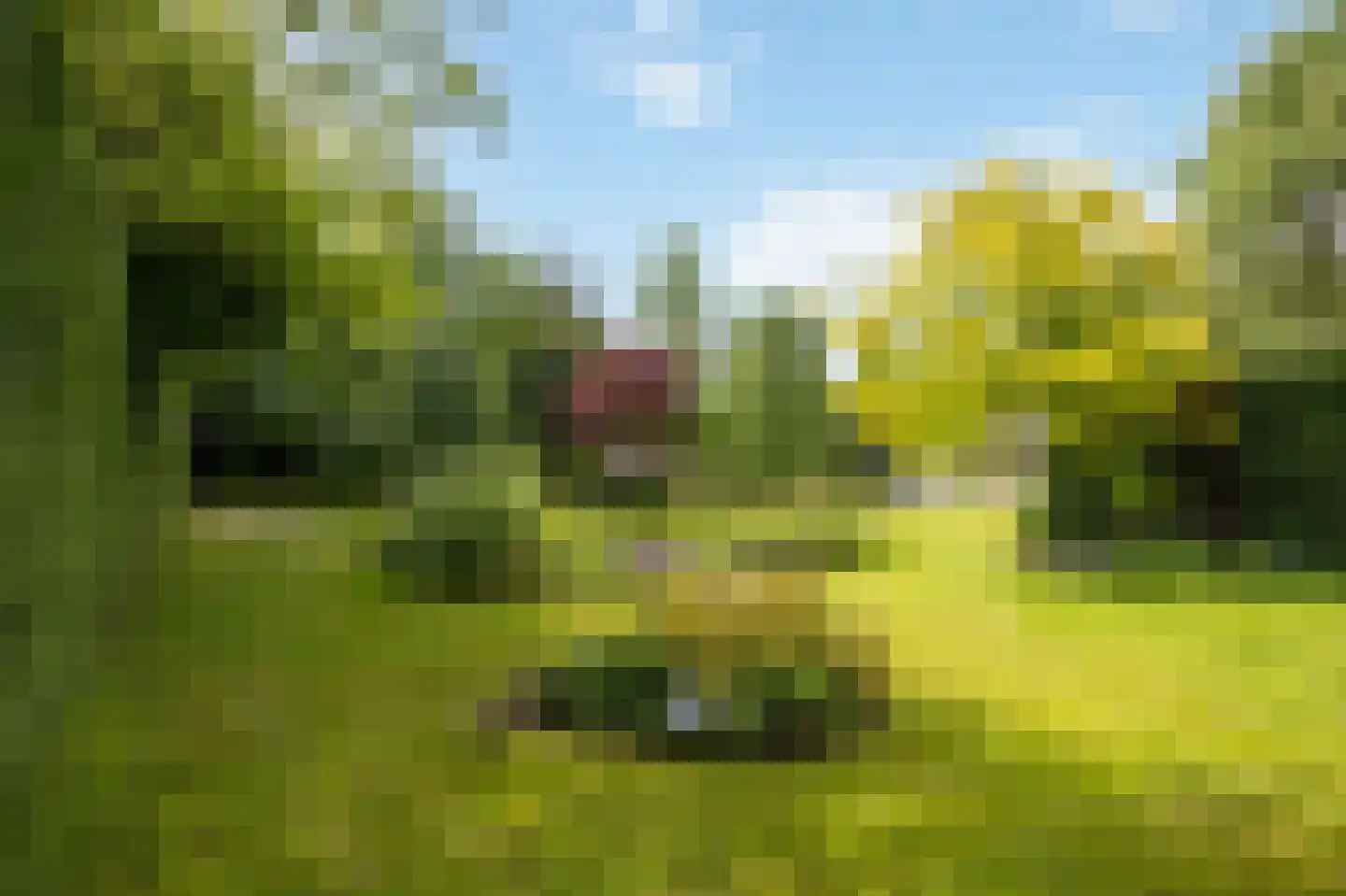 Heerlenerweg 26 Sittard thumbnail 44