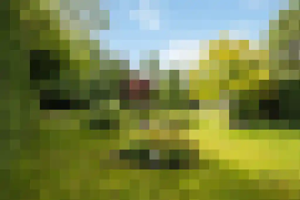 Heerlenerweg 26 Sittard thumbnail 51