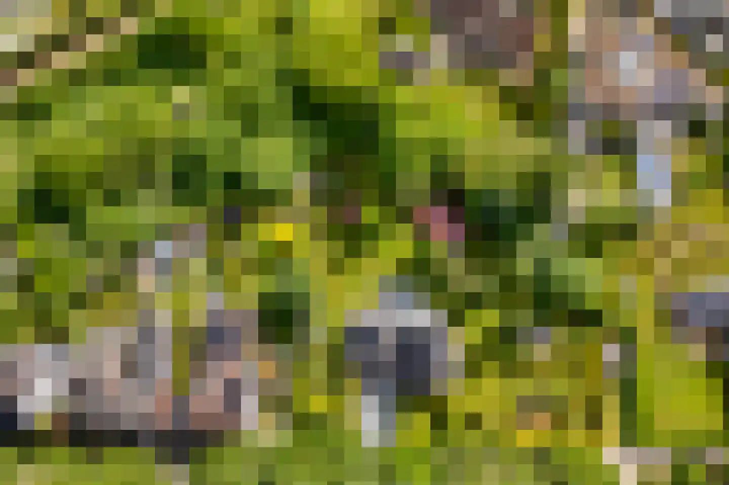 Heerlenerweg 26 Sittard thumbnail 52