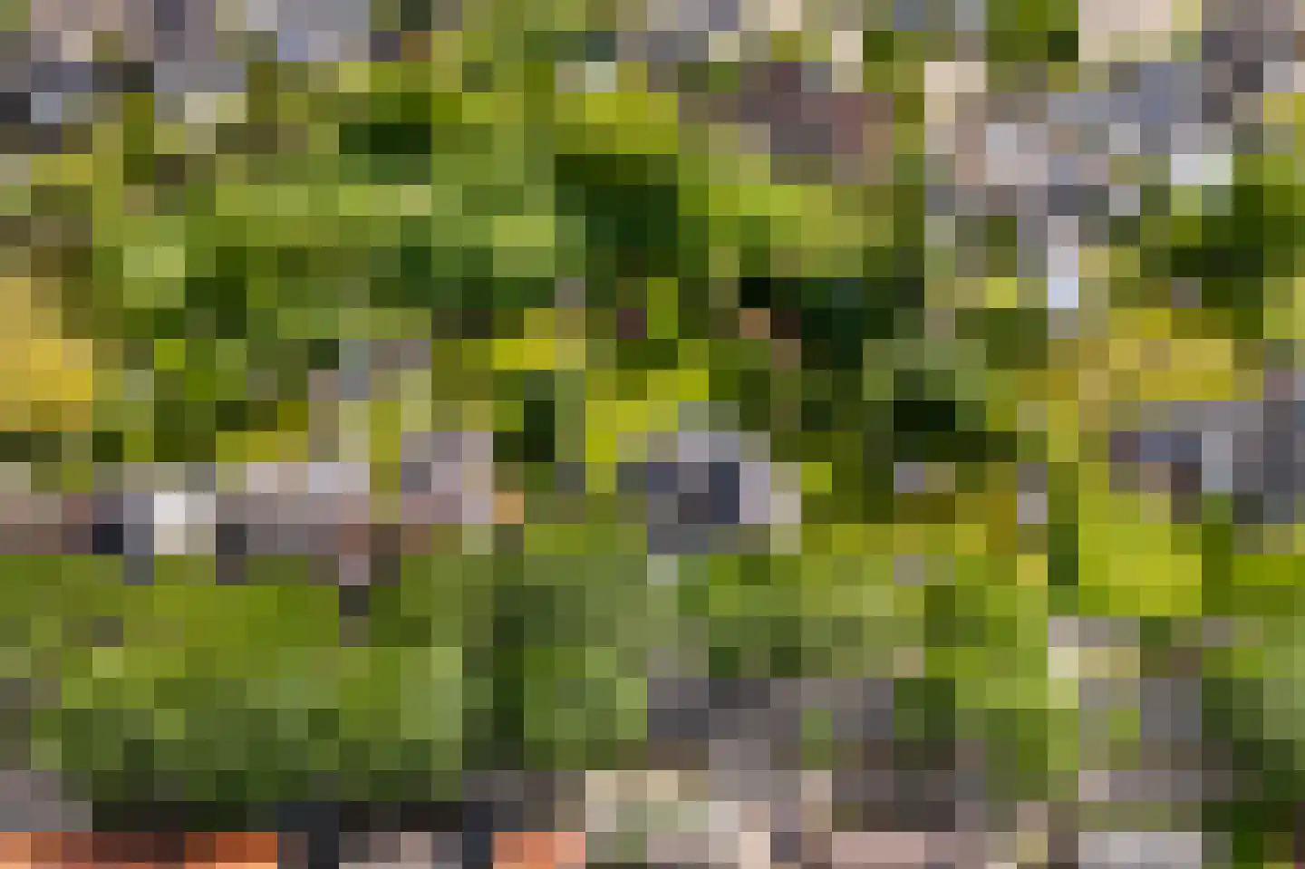Heerlenerweg 26 Sittard thumbnail 53