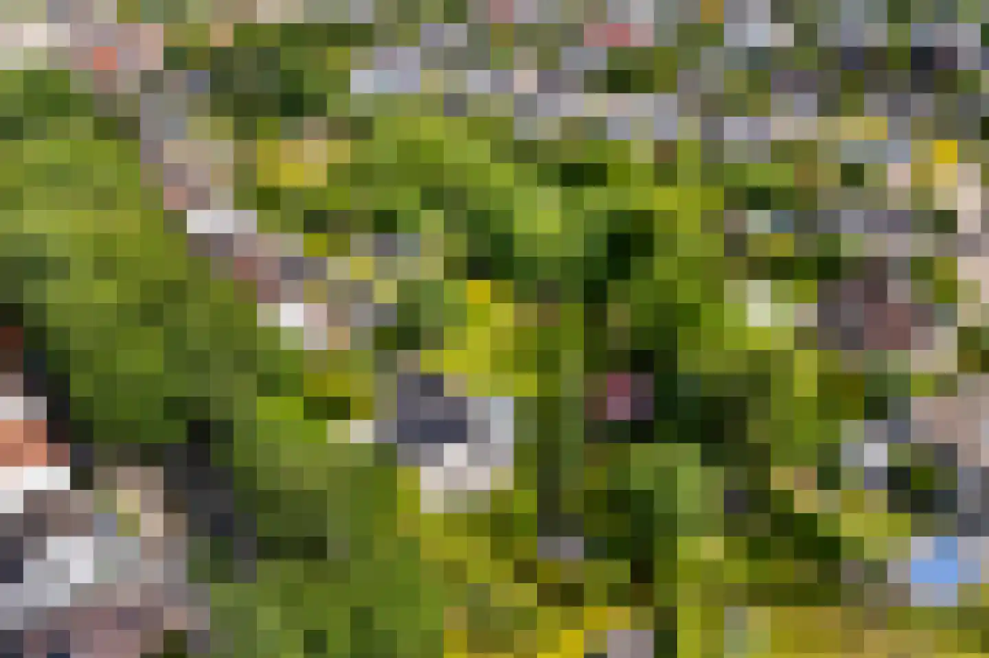 Heerlenerweg 26 Sittard thumbnail 54