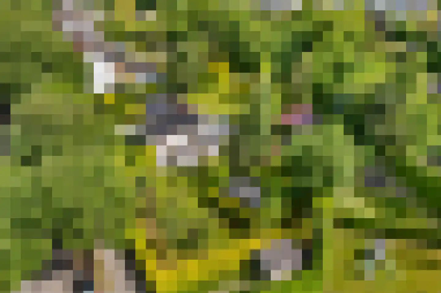 Heerlenerweg 26 Sittard thumbnail 59