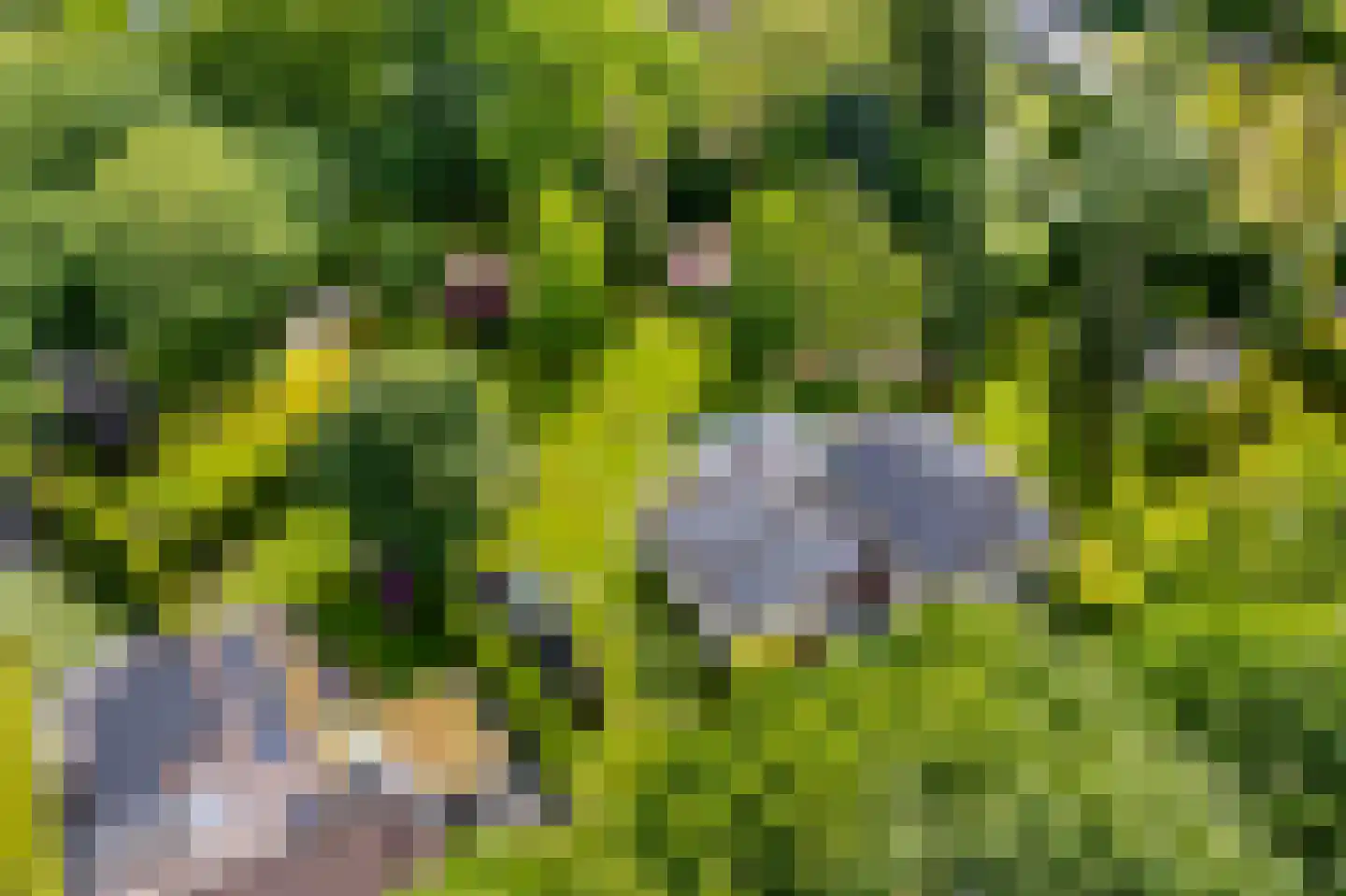 Heerlenerweg 26 Sittard thumbnail 6