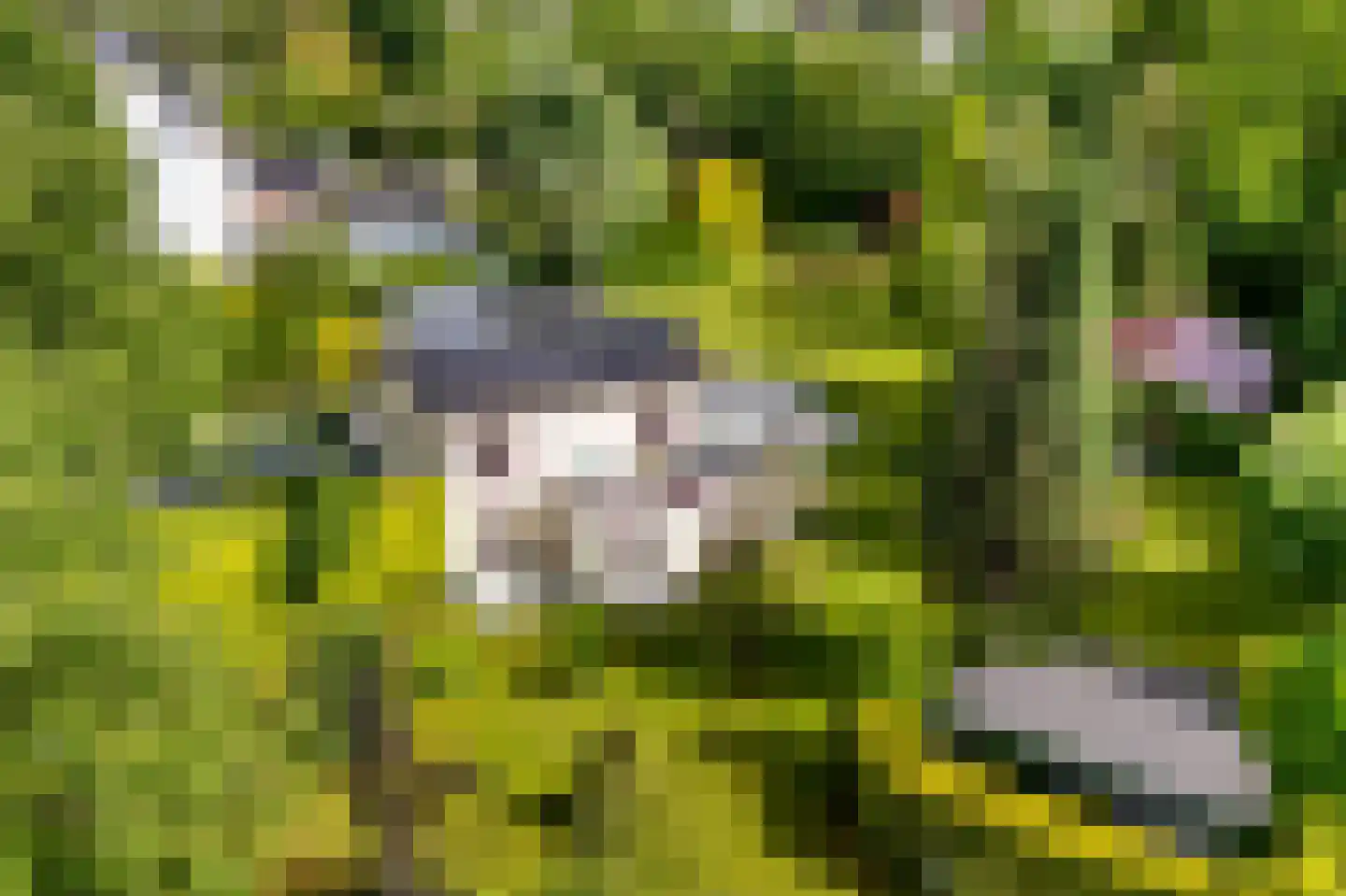 Heerlenerweg 26 Sittard thumbnail 60