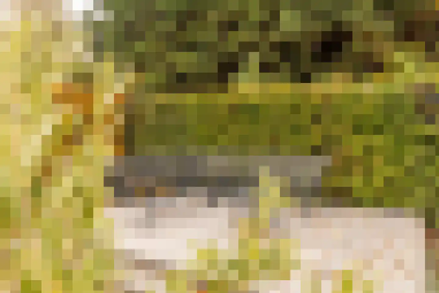 Heerlenerweg 27 Sittard thumbnail 36
