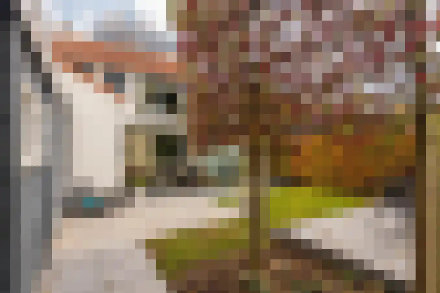 Heerlenerweg 27 Sittard thumbnail 37