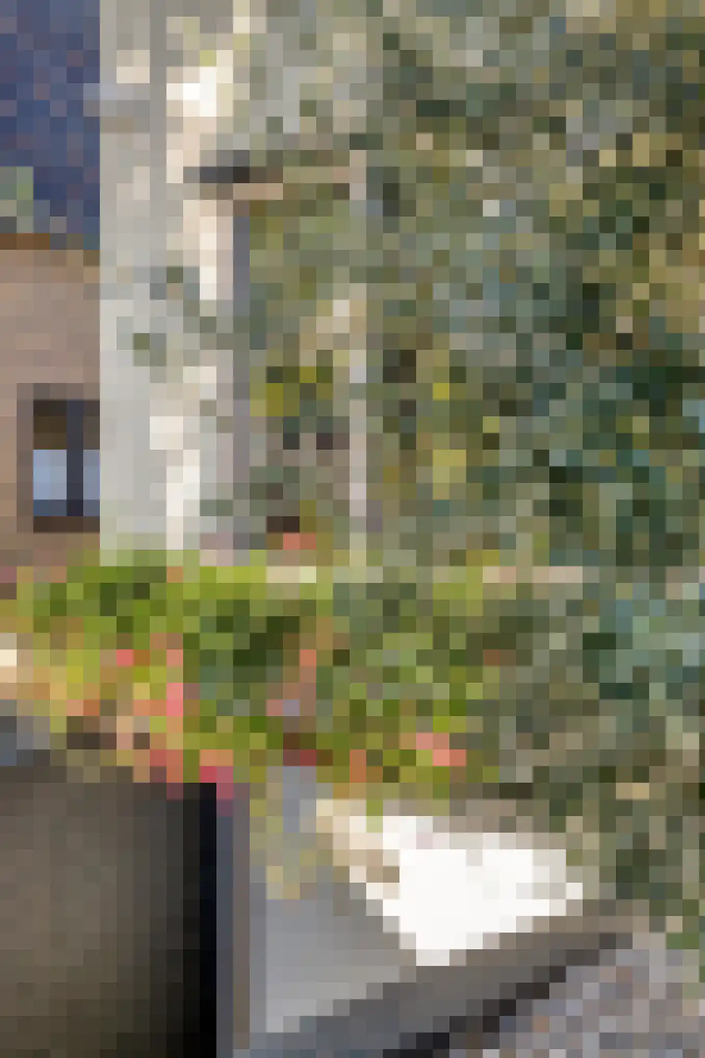 Heerlenerweg 9 Sittard thumbnail 12