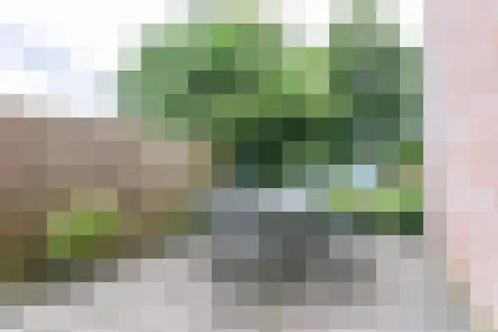 Heerlerbaan 157 E Heerlen thumbnail 29