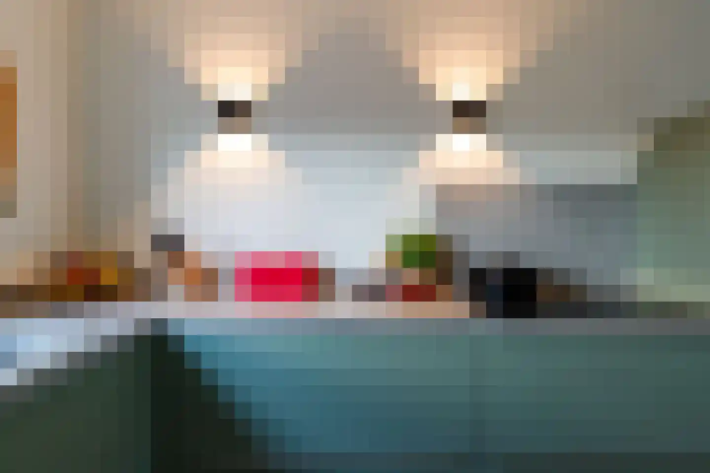 Heerlerschans 33 Nieuwegein thumbnail 10