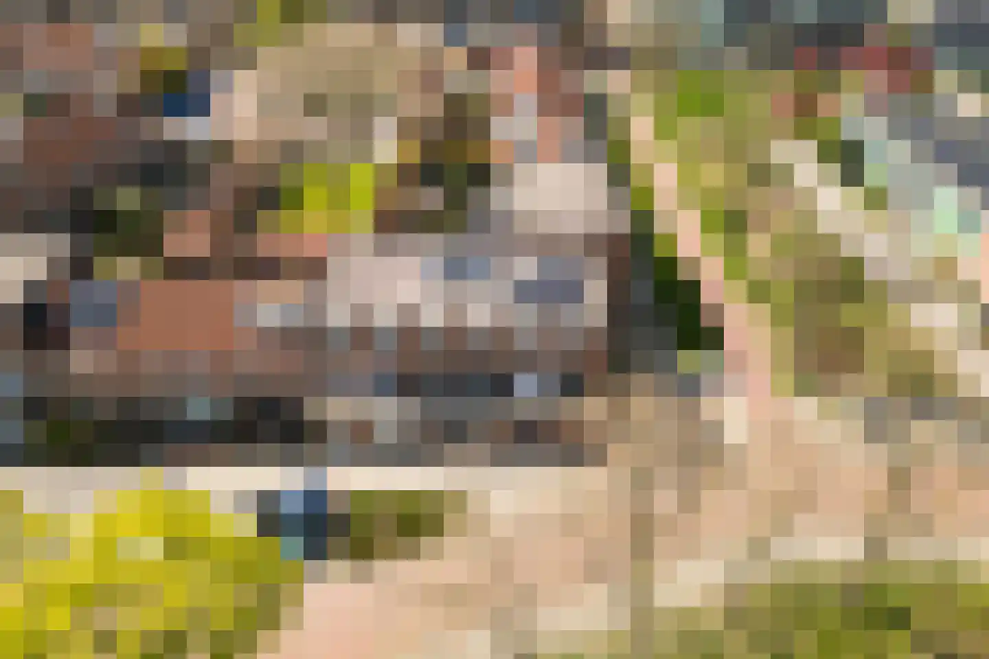 Heerlerschans 33 Nieuwegein thumbnail 30