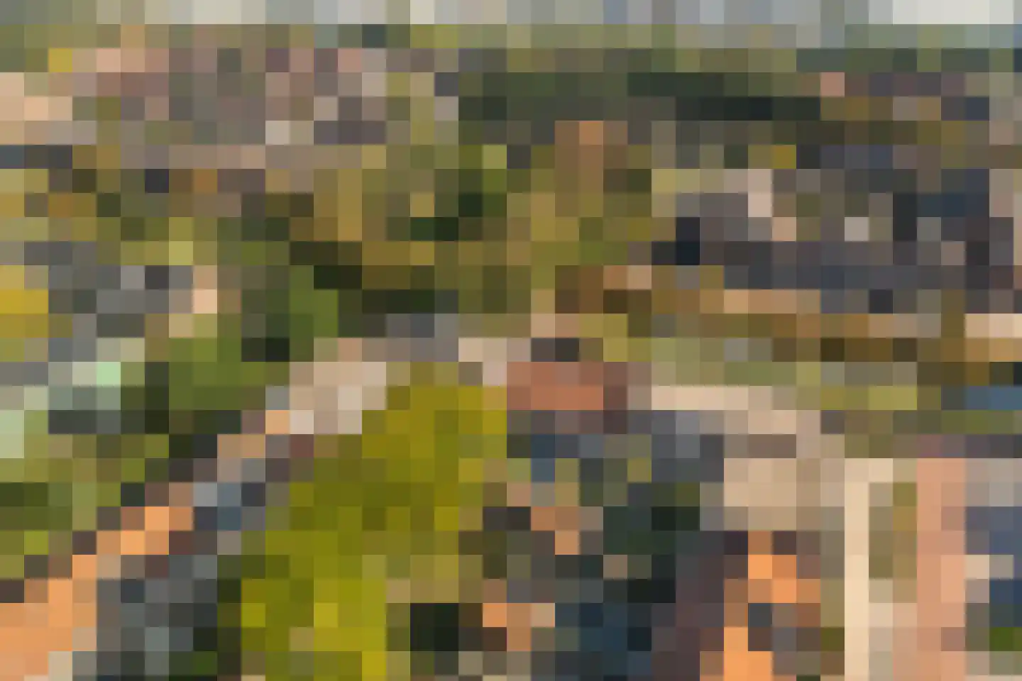 Heerlerschans 36 Nieuwegein thumbnail 30