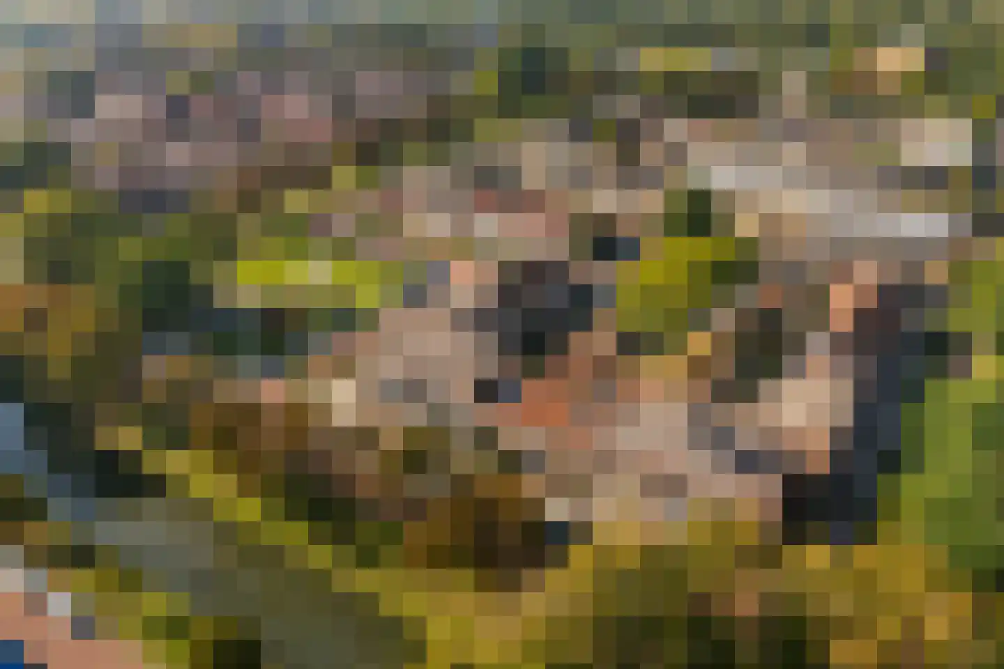 Heerlerschans 36 Nieuwegein thumbnail 31