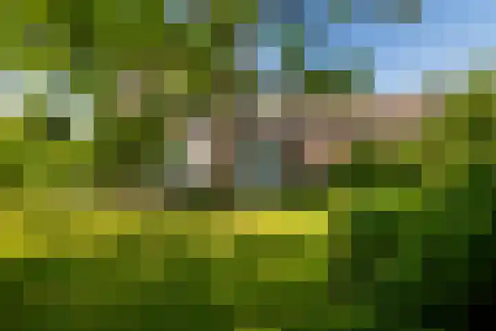 Heerlerweg 1 Voerendaal thumbnail 36