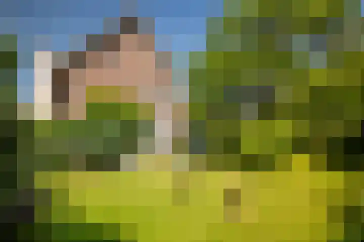 Heerlerweg 1 Voerendaal thumbnail 37