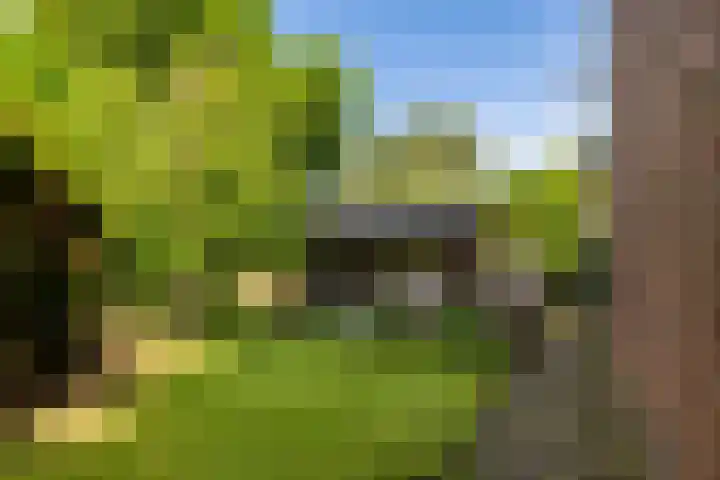 Heerlerweg 1 Voerendaal thumbnail 39
