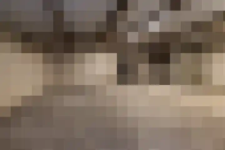 Heerlerweg 202 Voerendaal thumbnail 42
