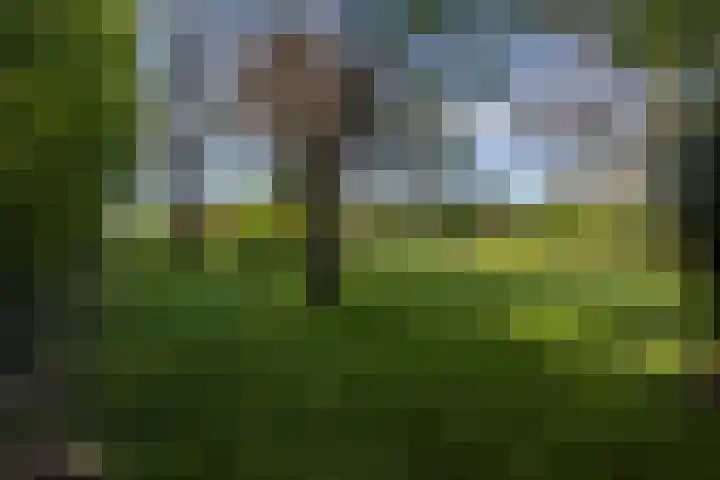 Heerlerweg 202 Voerendaal thumbnail 52