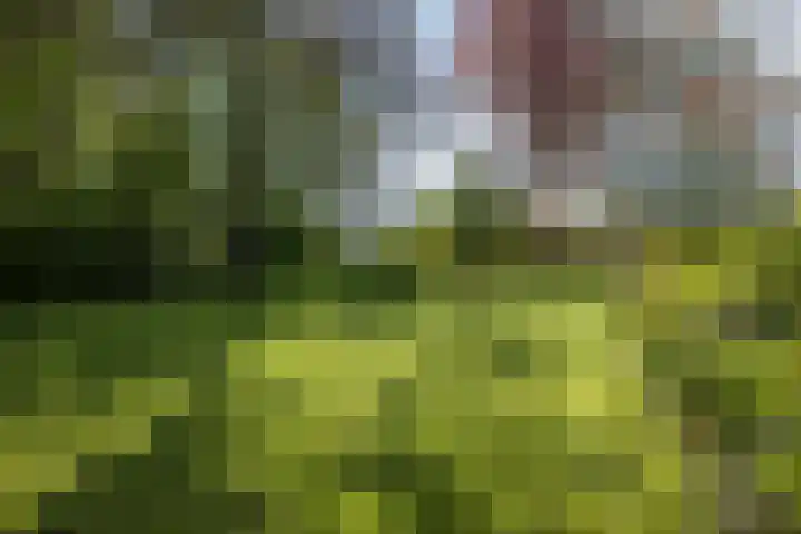 Heerlerweg 202 Voerendaal thumbnail 53