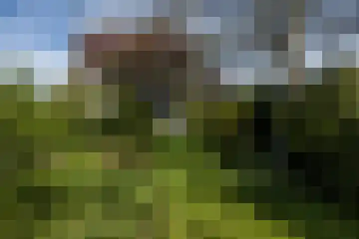 Heerlerweg 202 Voerendaal thumbnail 55