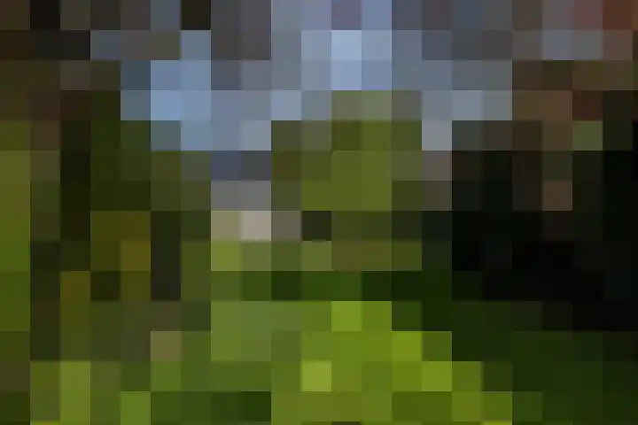 Heerlerweg 202 Voerendaal thumbnail 56