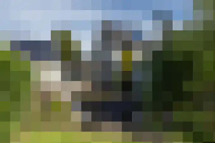 Heerlerweg 202 Voerendaal thumbnail 57