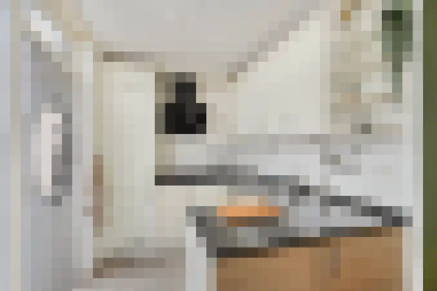 Heerlerweg 26 B Voerendaal thumbnail 9