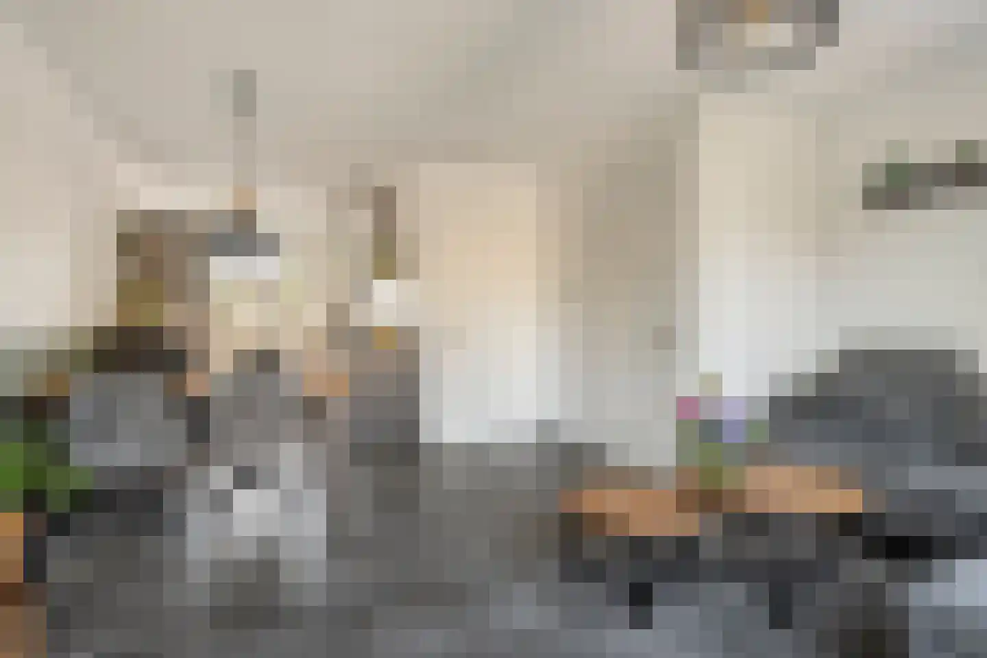 Heerlijckheid 32 Nieuw-Vossemeer thumbnail 13