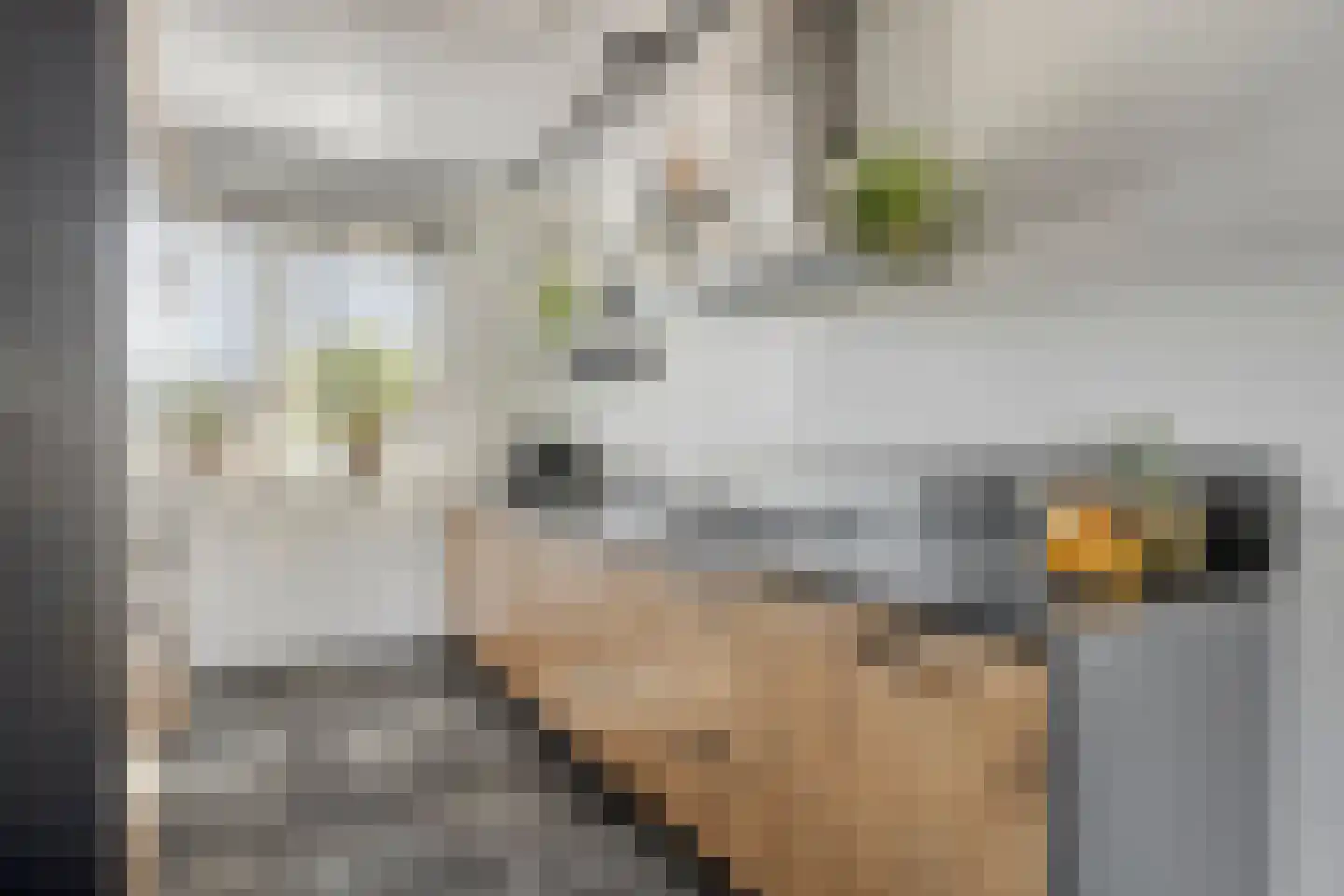 Heerlijckheid 32 Nieuw-Vossemeer thumbnail 17