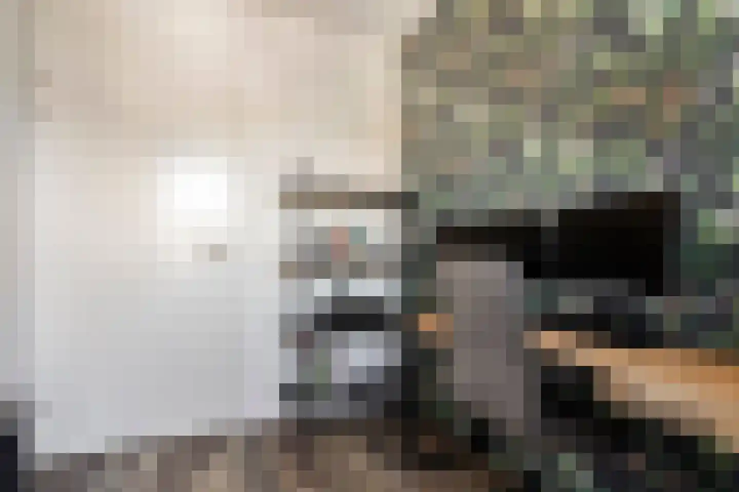 Heerlijckheid 32 Nieuw-Vossemeer thumbnail 25