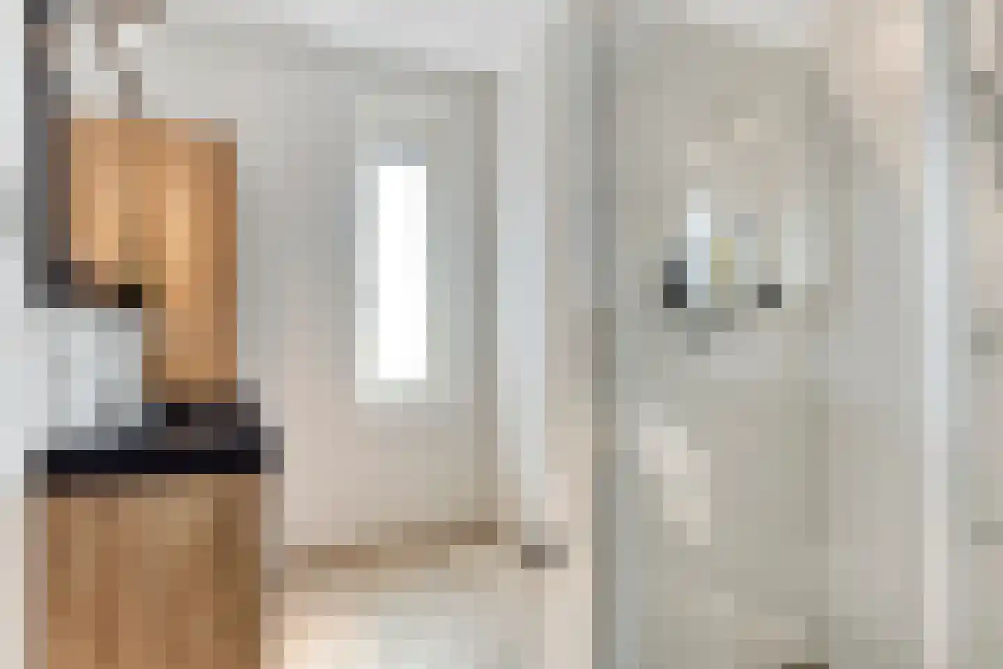 Heerlijckheid 32 Nieuw-Vossemeer thumbnail 27