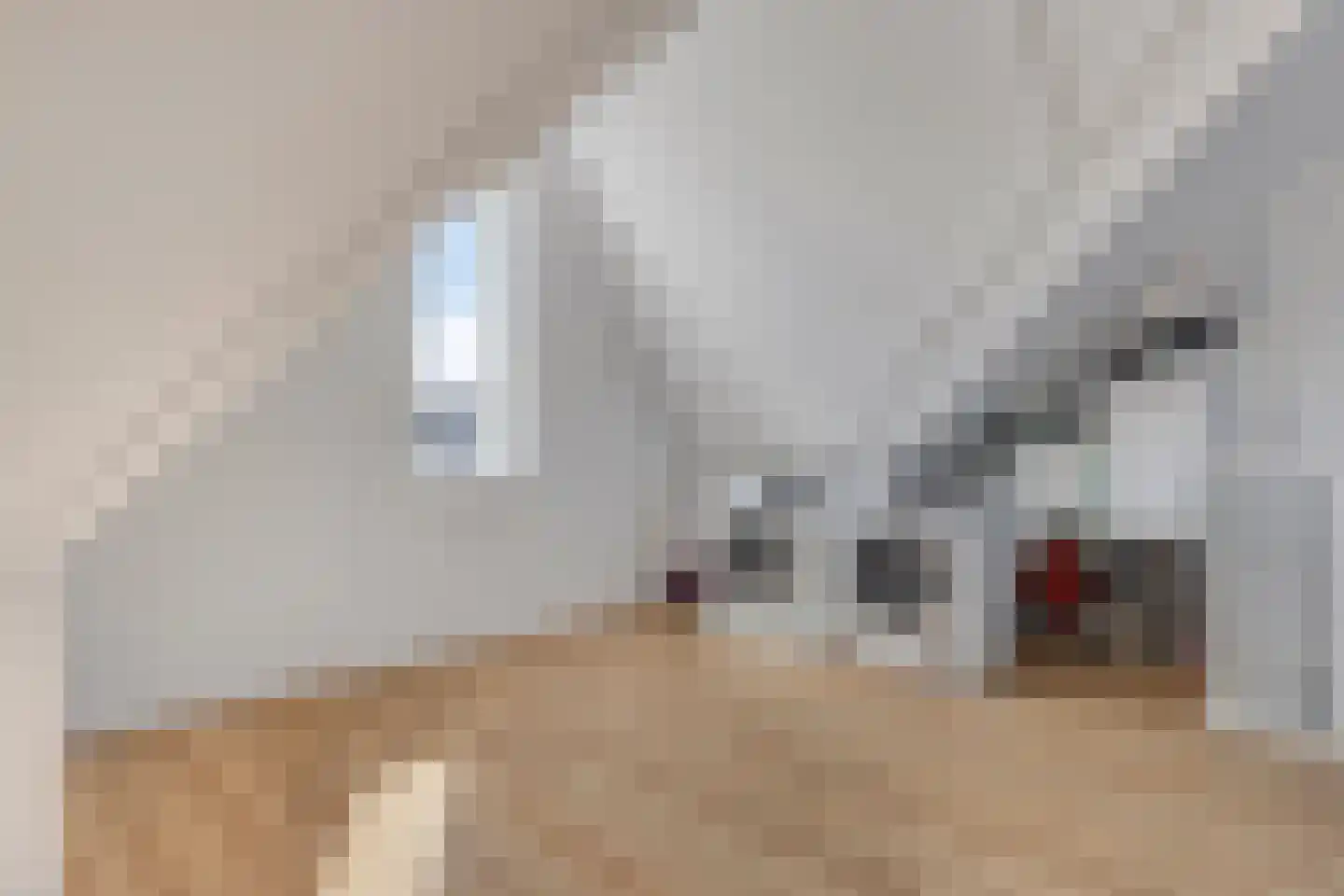 Heerlijckheid 32 Nieuw-Vossemeer thumbnail 29