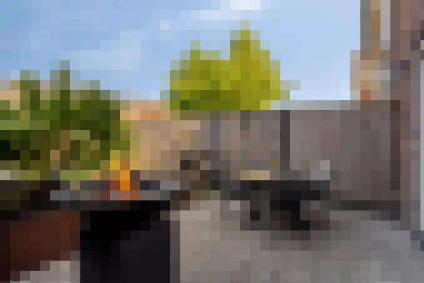 Heerlijckheid 32 Nieuw-Vossemeer thumbnail 34