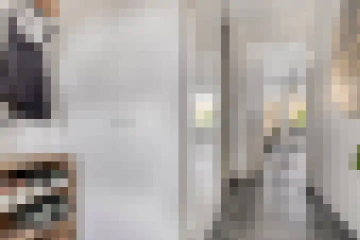 Heerlijckheid 32 Nieuw-Vossemeer thumbnail 9