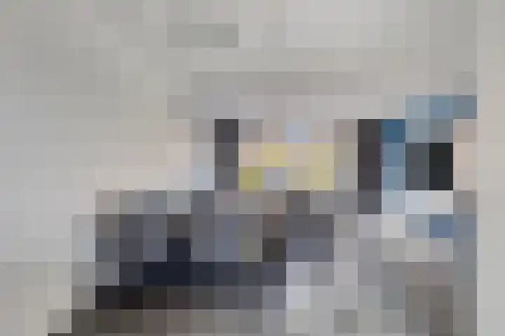 Heerlijckheid 44 Nieuw-Vossemeer thumbnail 12