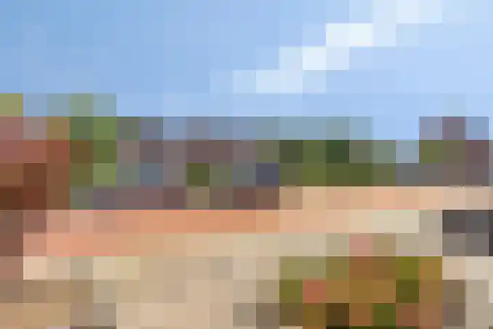 Heerlijckheid 44 Nieuw-Vossemeer thumbnail 29