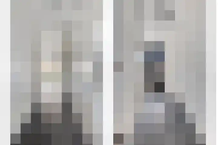 Heerlijckheid 44 Nieuw-Vossemeer thumbnail 6
