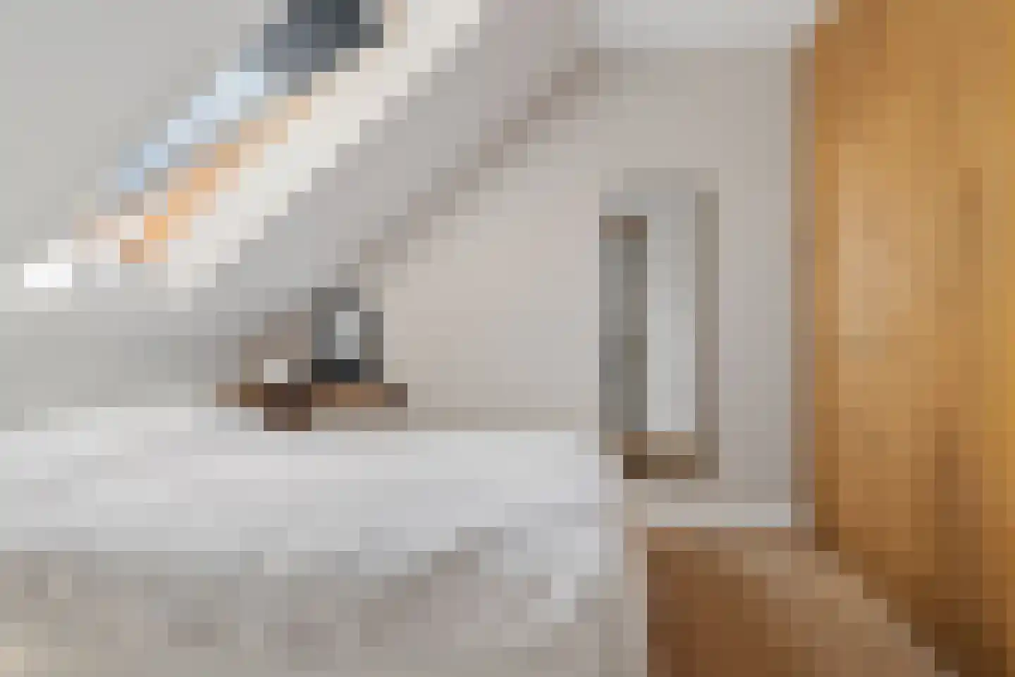 Heerlijkheid 13 Warmenhuizen thumbnail 13