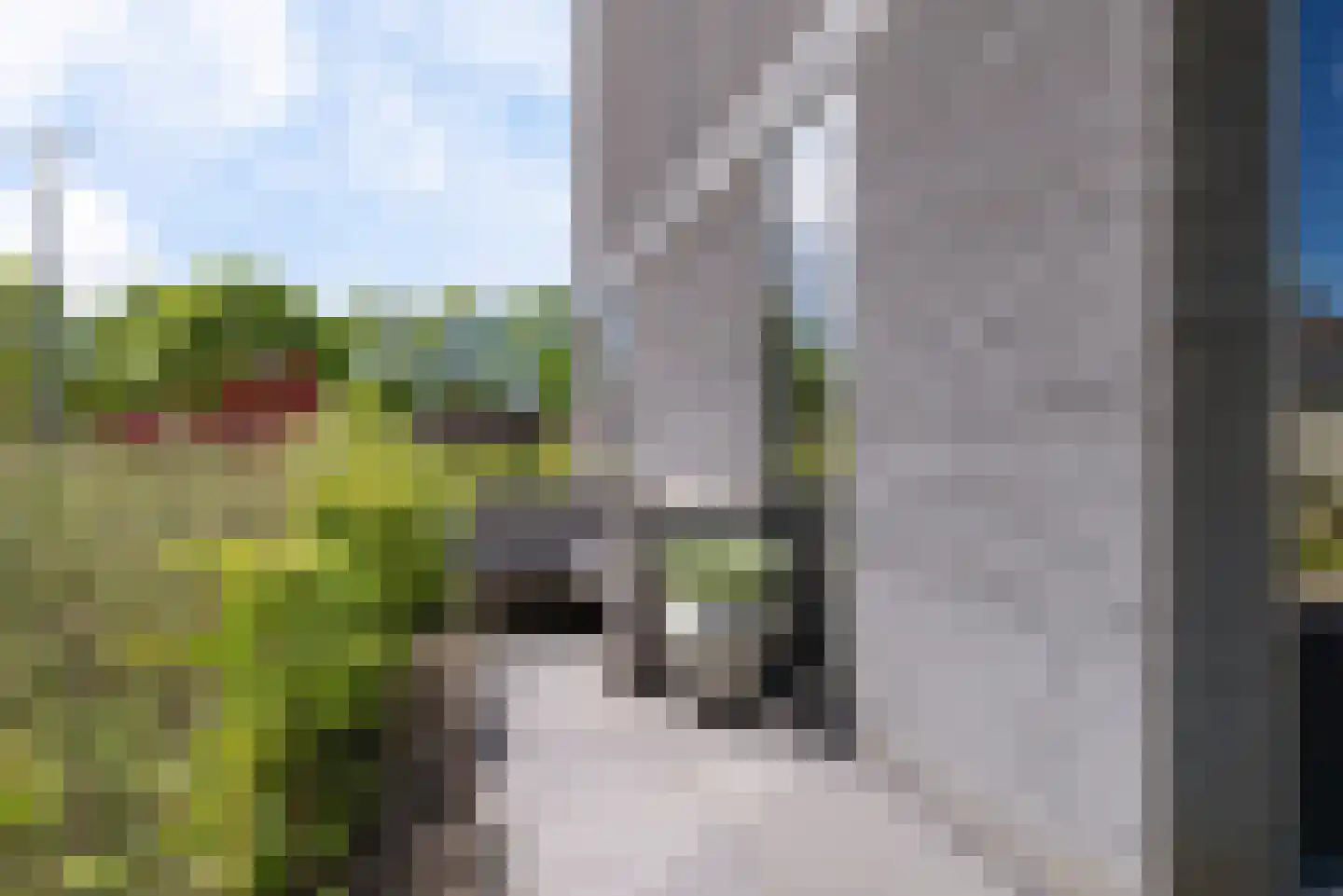 Heerlijkheid 13 Warmenhuizen thumbnail 18