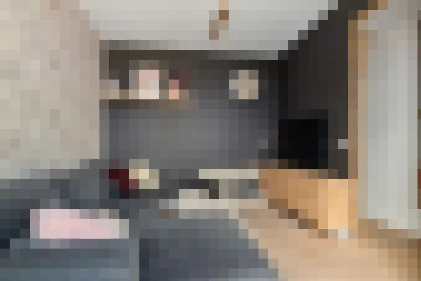 Heerlijkheid 13 Warmenhuizen thumbnail 4