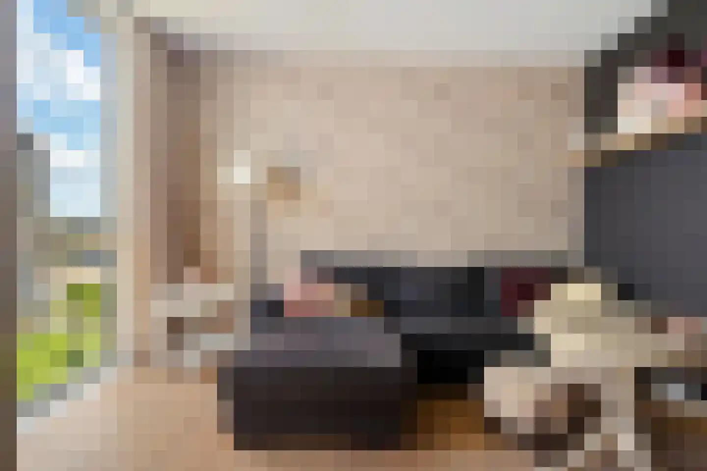 Heerlijkheid 13 Warmenhuizen thumbnail 5