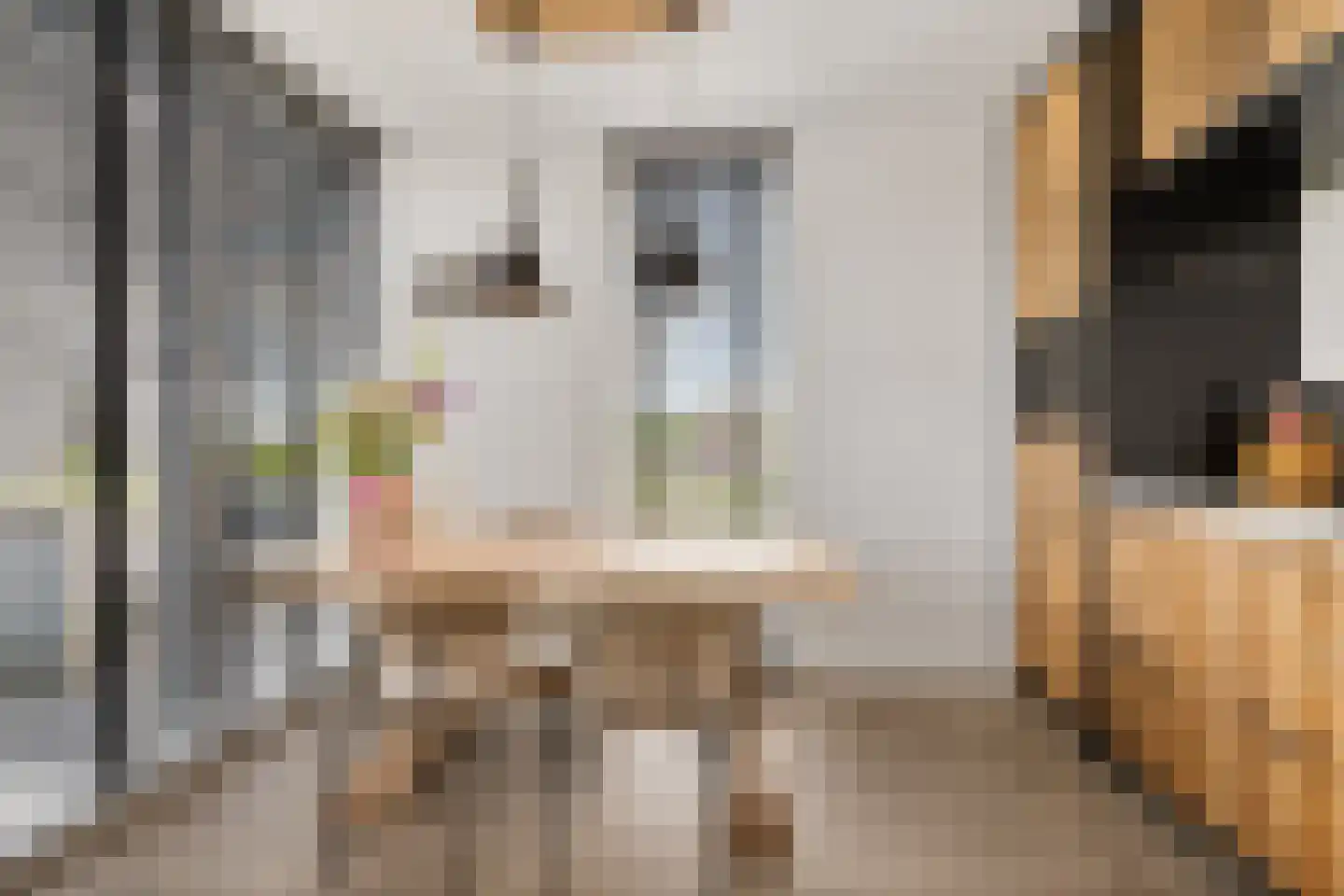 Heerlijkheid 13 Warmenhuizen thumbnail 7